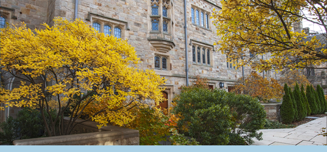 Yale campus in the fall